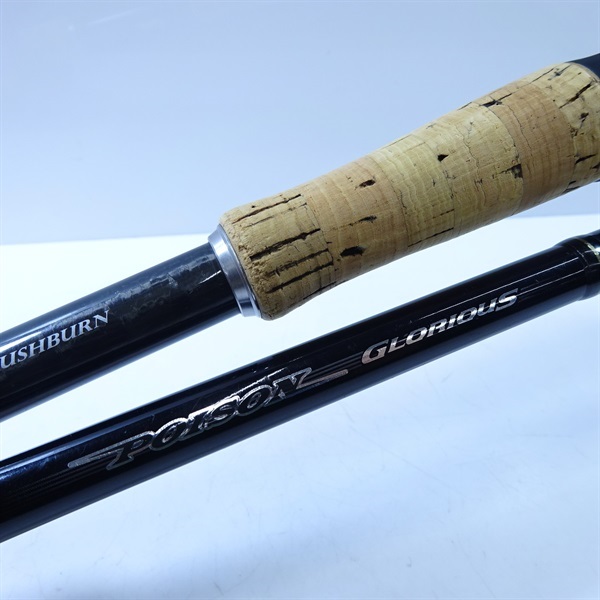 １１ポイズングロリアス１７２Ｈ